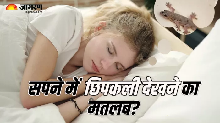 Swapna Shastra छिपकली को देखने पर मिलते हैं अलग-अलग संकेत।