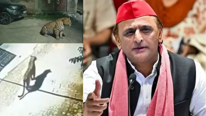 लखनऊ के रिहायशी इलाके में तेंदुआ देखे जाने की जानकारी पर अखिलेश ने कसा तंज