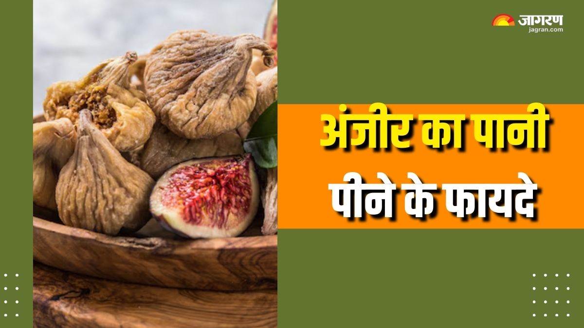 https://www.jagranimages.com/images/newimg/25092025/25_09_2025-fig_water_benefits_2_24059190.jpg