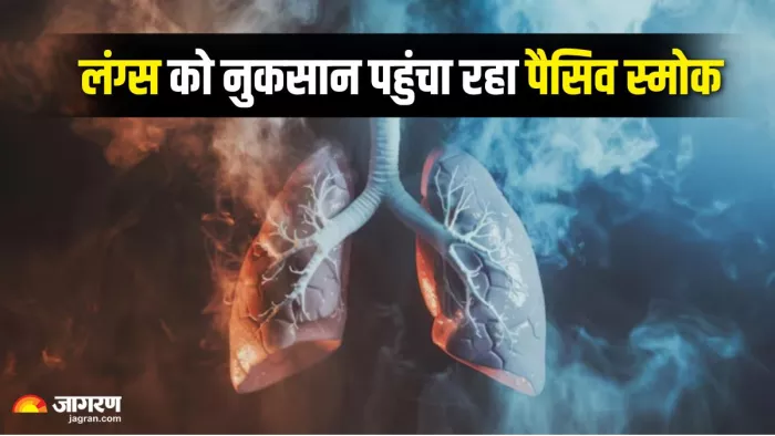 सेकंड हैंड स्मोकिंग कैसे फेफड़ों को नुकसान पहुंचाती है (Picture Credit- Freepik)