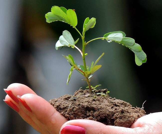 सबसे बड़ी चुनौती इस विषय पर पर्याप्त ज्ञान का अभाव है