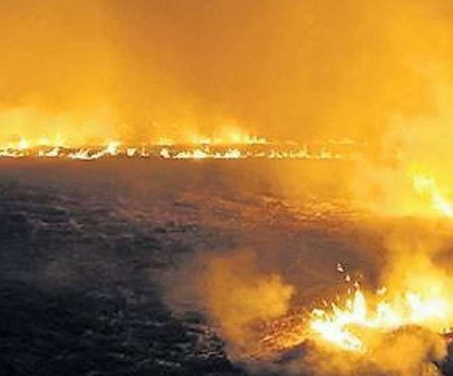 मोहाली जिले में 2020 में 35 किसानों पर पराली जलाने पर कार्रवाई हुई थी।