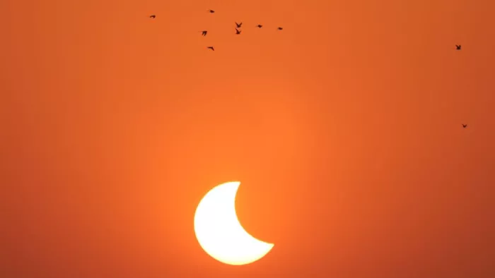 Surya Grahan 2022: आगरा में सूर्य ग्रहण के दौरान घाेंसलाें की ओर लौटते परिंदे।