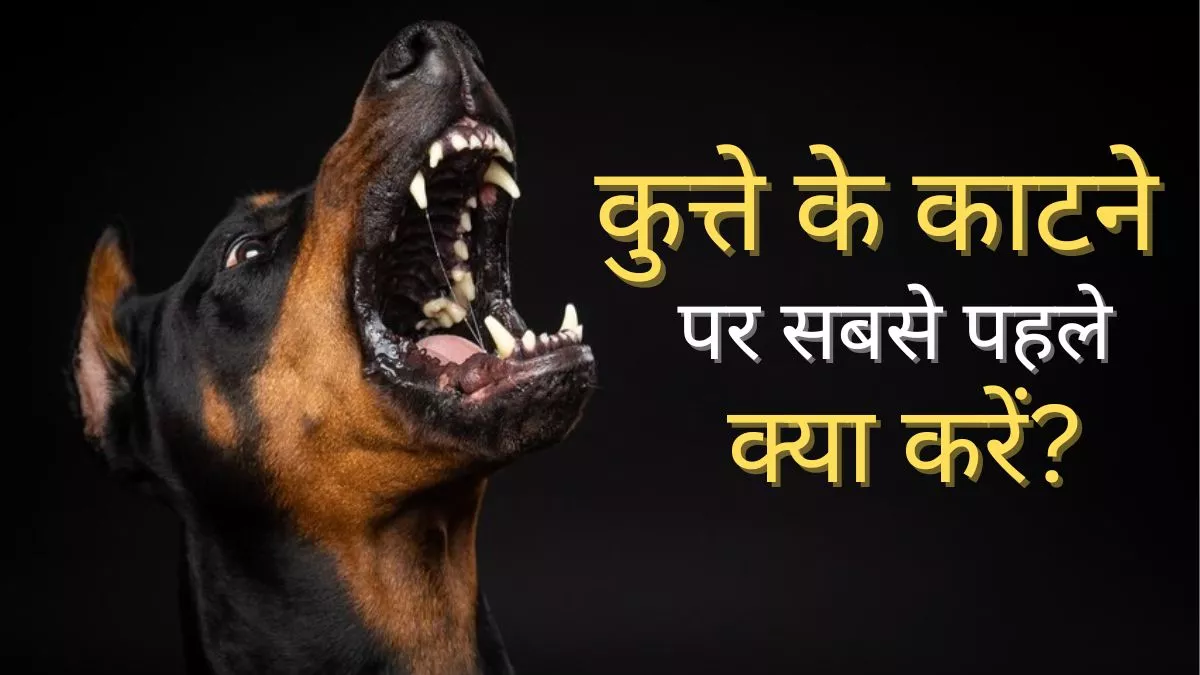 Dog bite home best sale treatment in hindi
