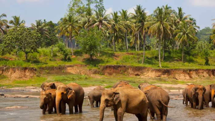 November Travel Destinations: भारत में नवंबर में घूमने वाली जगहें