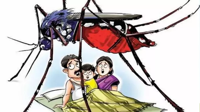 Dengue and chikungunya: बीते वर्षों की तुलना में डेंगू के मामले कम लेकिन मलेरिया और चिकनगुनिया। फाइल फोटो
