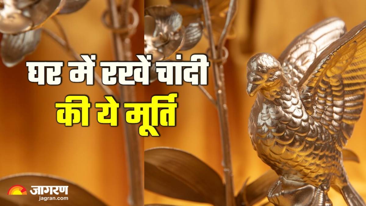 vastu tips for home keep a silver peacock idol in your home