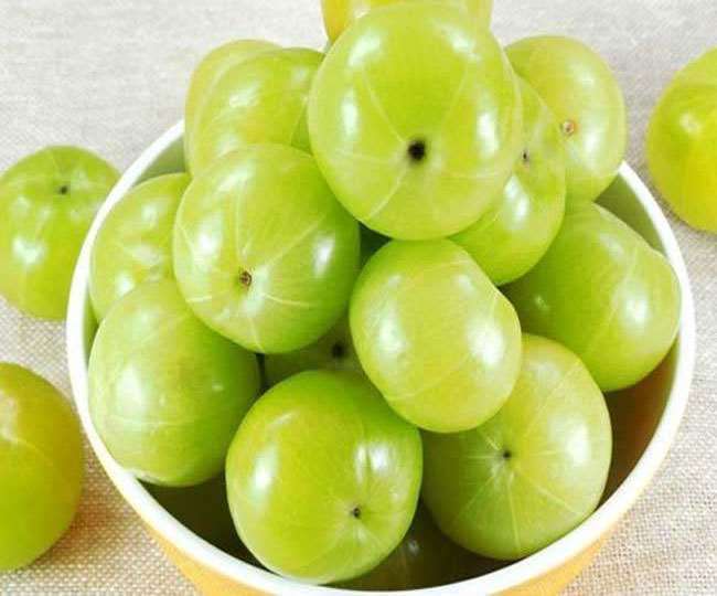 demand increased of amla products again in pratapgarh