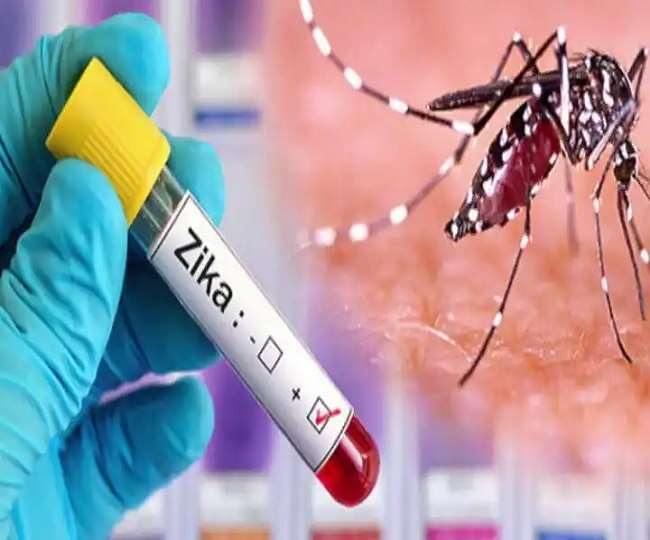 Zika Virus in UP फतेहपुर में जीका वायरस की खबर से संबंधित प्रतीकात्मक फोटो।