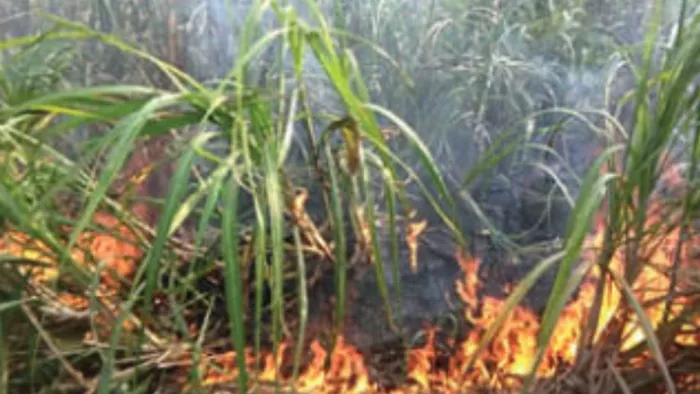 Big Incident in Kushinagar: कुशीनगर में आग लगने से दो किसानों की मौत हो गई। - प्रतीकात्मक तस्वीर