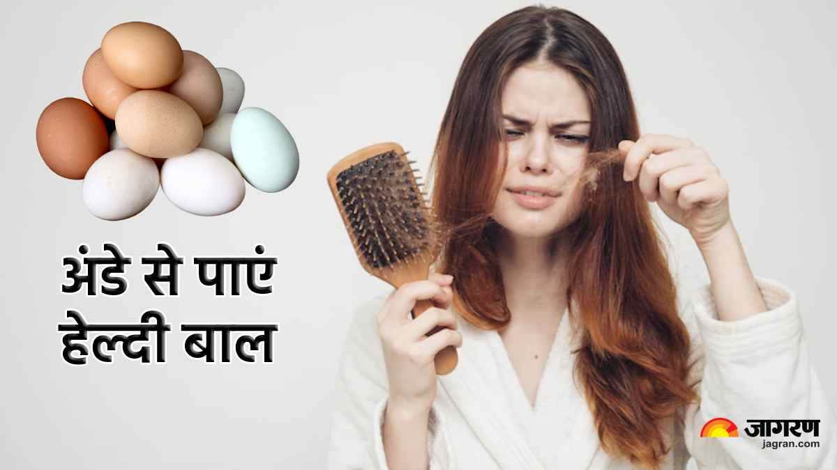 Egg Hair Mask अंडे के साथ मिलाकर लगाएं ये 5 चीज़ें और पाएं हेयर फॉल व