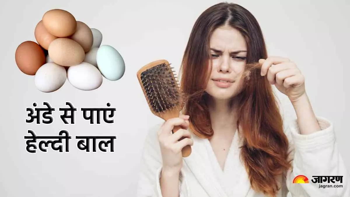 Egg Hair Mask: अंडे के साथ मिलाकर लगाएं ये 5 चीज़ें और पाएं हेयर फॉल व डैंड्रफ से छुटकारा - Top 5 Egg hair mask for frizzy shiny hair faster growth and Egg Hair Mask: अंडे के साथ मिलाकर लगाएं ये 5 चीज़ें और पाएं हेयर फॉल व डैंड्रफ से छुटकारा - Top 5 Egg hair mask for frizzy shiny hair faster growth and