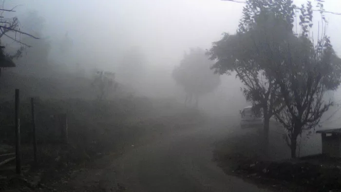 Himachal Weather Update: हिमाचल प्रदेश के इन चार जिलों में धुंध पड़ रही है।