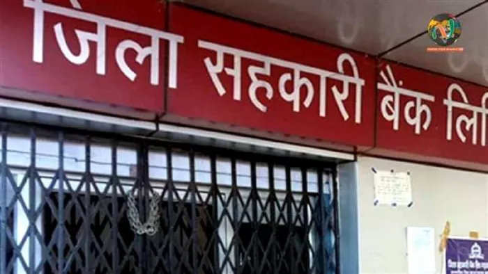 एमपी सहकारी बैंक भर्ती 2022 के लिए आवेदन आधिकारिक वेबसाइट, apexbank.in पर करें।