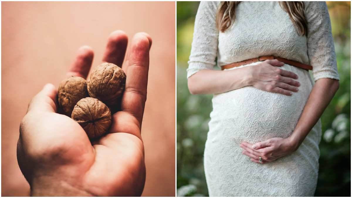 Walnuts Benefits प्रेग्नेंसी में भी ज़रूर खाएं अखरोट, ताकि बेबी को