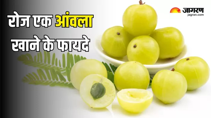 सर्दियों में रोज खाएं आंवला (Picture Courtesy: Freepik)