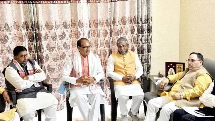 हार के बाद भाजपा में मचा हाहाकार। फाइल फ़ोटो