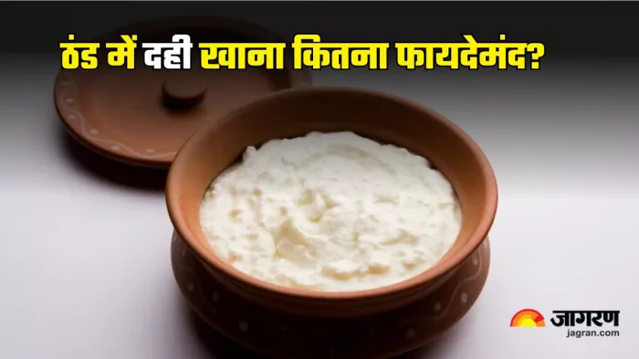Curd In Winter: सर्दियों में दही खाना कितना सुरक्षित। (Image credit- freepik)