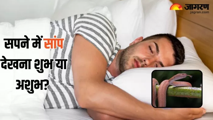Sapne me Saanp Dekhna Kaisa Hai: सपने में सांप देखने के संकेत (Pic Credit-Freepik)