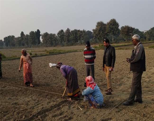 वाराणसी में गोआधारित पद्धति से हो रहा शरबती गेंहू का प्रदर्शन, एक एकड़