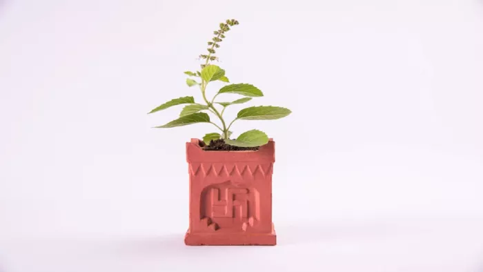 Tulsi Pujan Diwas 2022: आज है तुलसी पूजन दिवस, जानें महत्व और पूजा की विधि