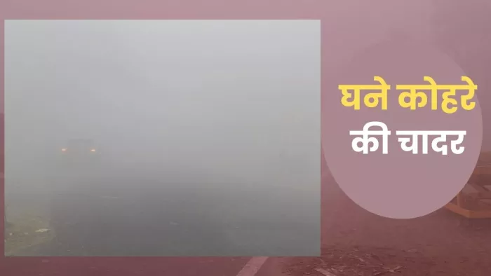 UP Weather News: घने कोहरे की चादर में लिपटी यूपी।