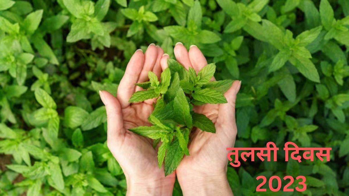 https://www.jagranimages.com/images/newimg/25122023/25_12_2023-tulsi_diwas_2023_23612647.jpg