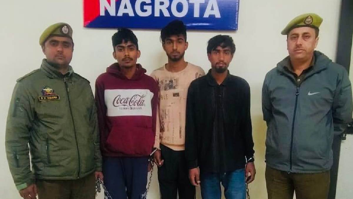 three cattle smugglers arrested in jammu for throwing dead cow and calf in hindu dominated area