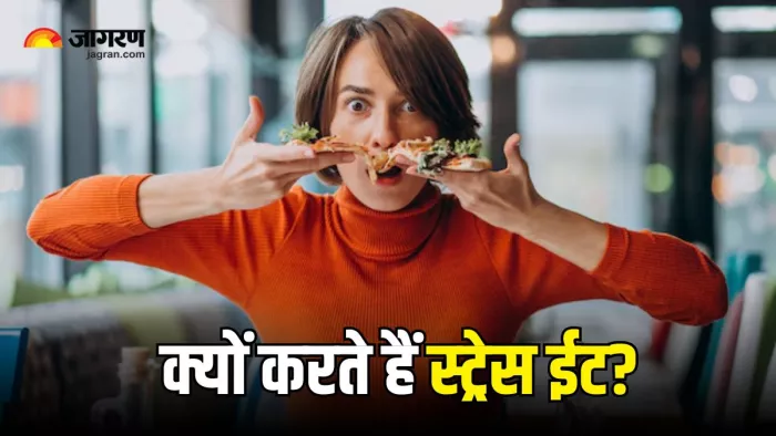 Stress Eating के पीछे हो सकते हैं कई कारण जिम्मेदार (Picture Courtesy: Freepik)