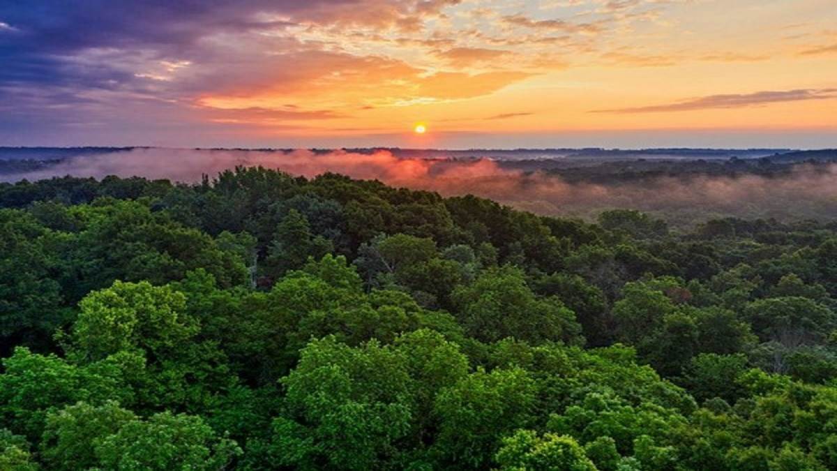 https://www.jagranimages.com/images/newimg/26012023/26_01_2023-amazon_rainforest_23309873.jpg