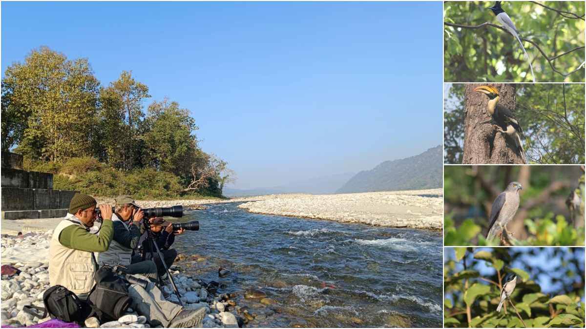 https://www.jagranimages.com/images/newimg/26012024/26_01_2024-corbett_national_park_23638870.jpg