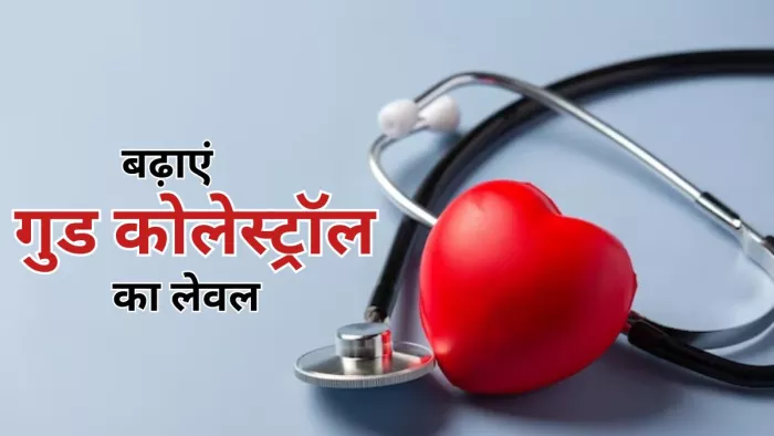 दिल को हेल्दी रखने के लिए जरूरी है गुड कोलेस्ट्रॉल