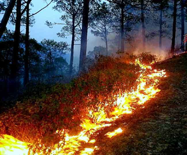 उत्तराखंड में फायर सीजन से निपटने को वन विभाग अलर्ट, फील्डकर्मियों की  छुट्टियां रद - Forest department alert for fire season in Uttarakhand