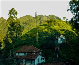 वागमन की गिनती केरल के सबसे खूबसूरत हिल स्टेशन में होती है।
