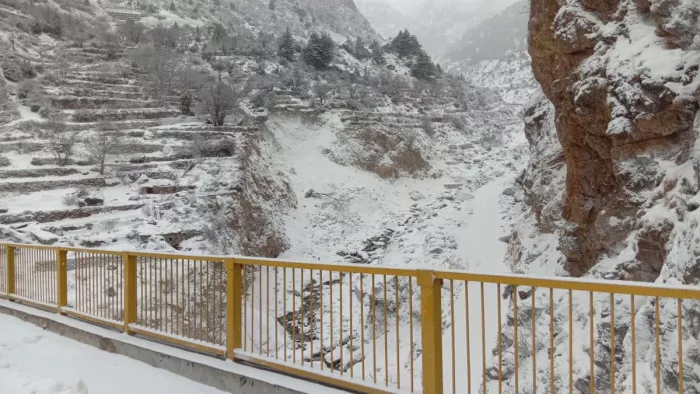 Uttarakhand Weather Update: चार जिलों में हल्की वर्षा व हिमपात के आसार बन रहे हैं।