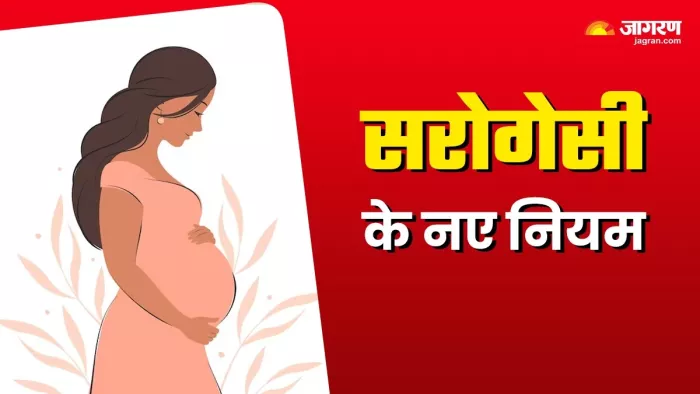 डोनर की मदद से भी करवा सकेंगे सरोगेसी