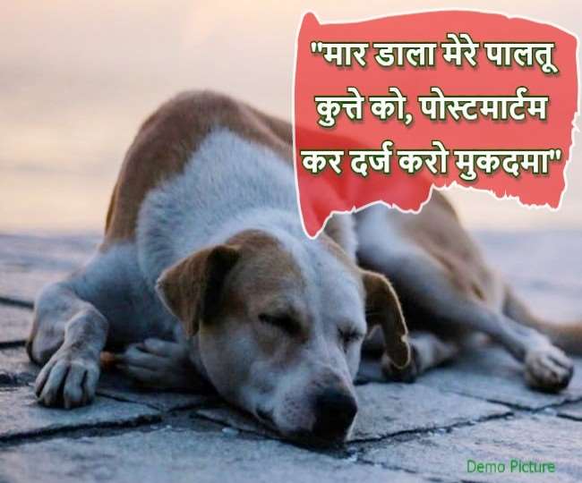 https://www.jagranimages.com/images/newimg/26032021/26_03_2021-pet_dog_murder_21502541.jpg