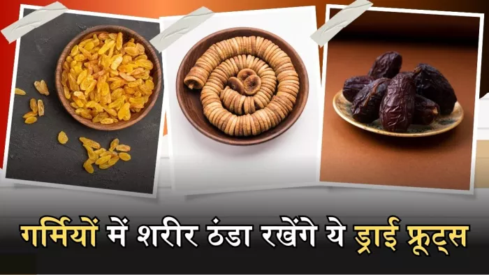 गर्मियों में खाएं ये 4 ड्राई फ्रूट्स, सेहत को मिलेंगे लाजवाब फायदे