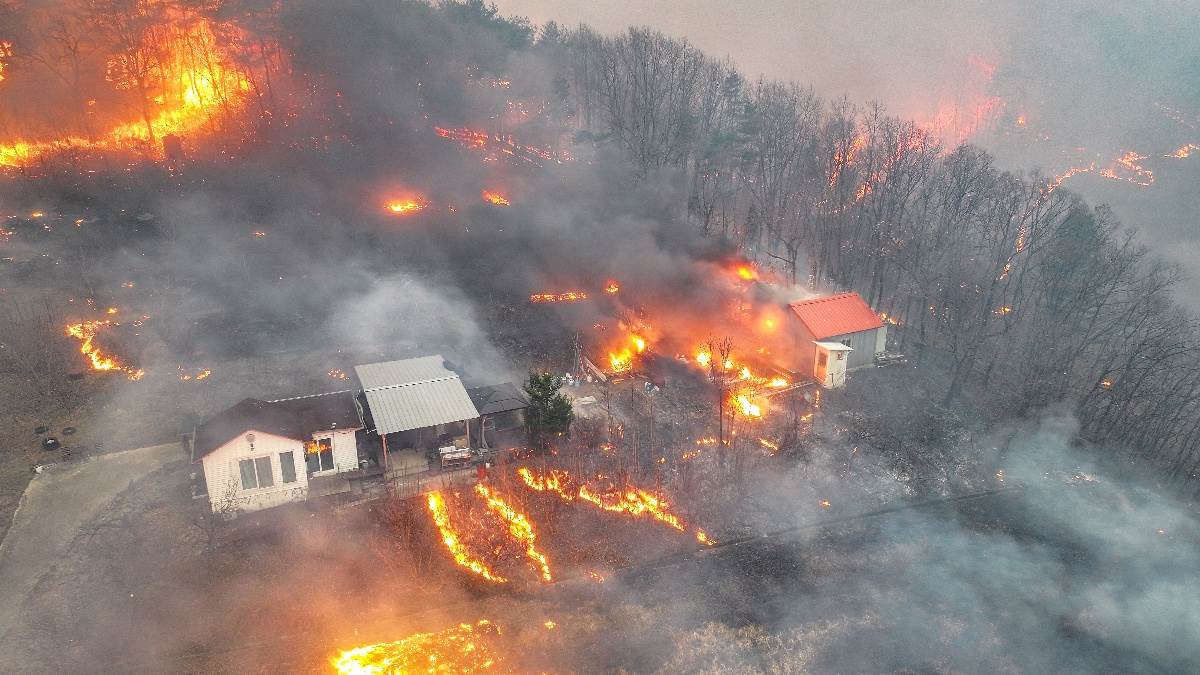 https://www.jagranimages.com/images/newimg/26032025/26_03_2025-fire_news_23906046.jpg