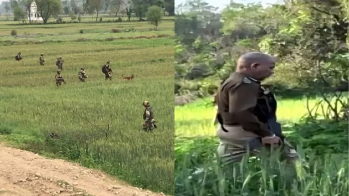 कठुआ के हीरानगर के सन्याल जंगल में तालाशी अभियान जारी है।