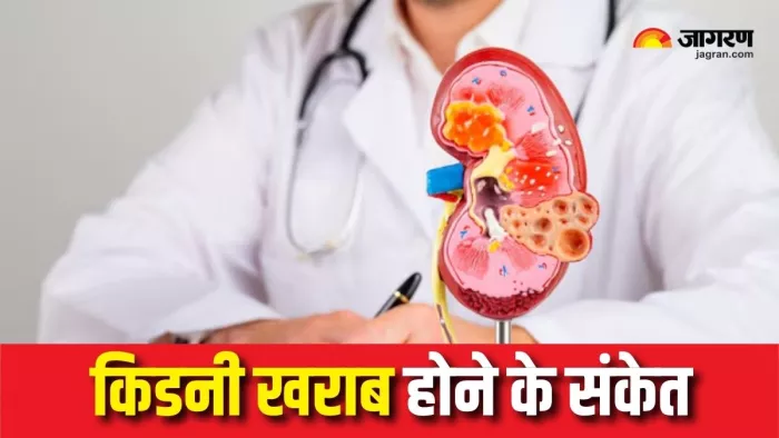 Kidney Damage Symptoms: किडनी खराब होने के 5 संकेत (Picture Courtesy: Freepik)
