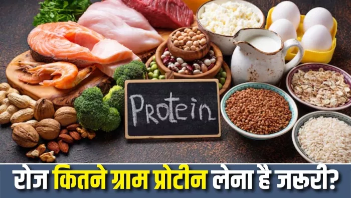 Protein Deficiency Health Risk: प्रोटीन की कमी से हो सकते हैं ये नुकसान (Picture Courtesy: Freepik)