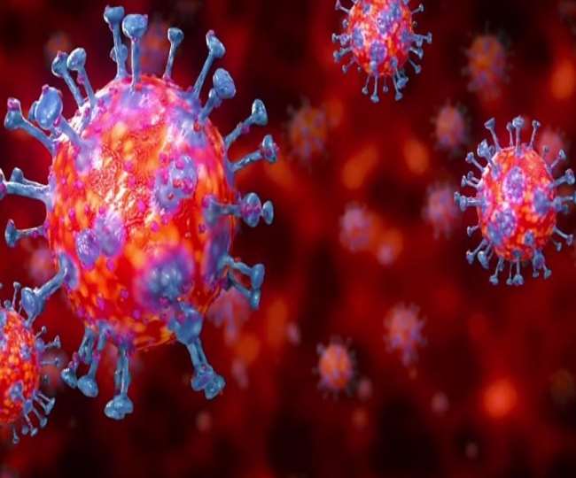 corona infection increased help desk reactivated at college level strictness on sanitization and use of masks