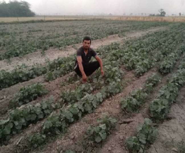 रोहतक के सुनिल ने खेत में मालिक बनकर काम करने की ठानी।