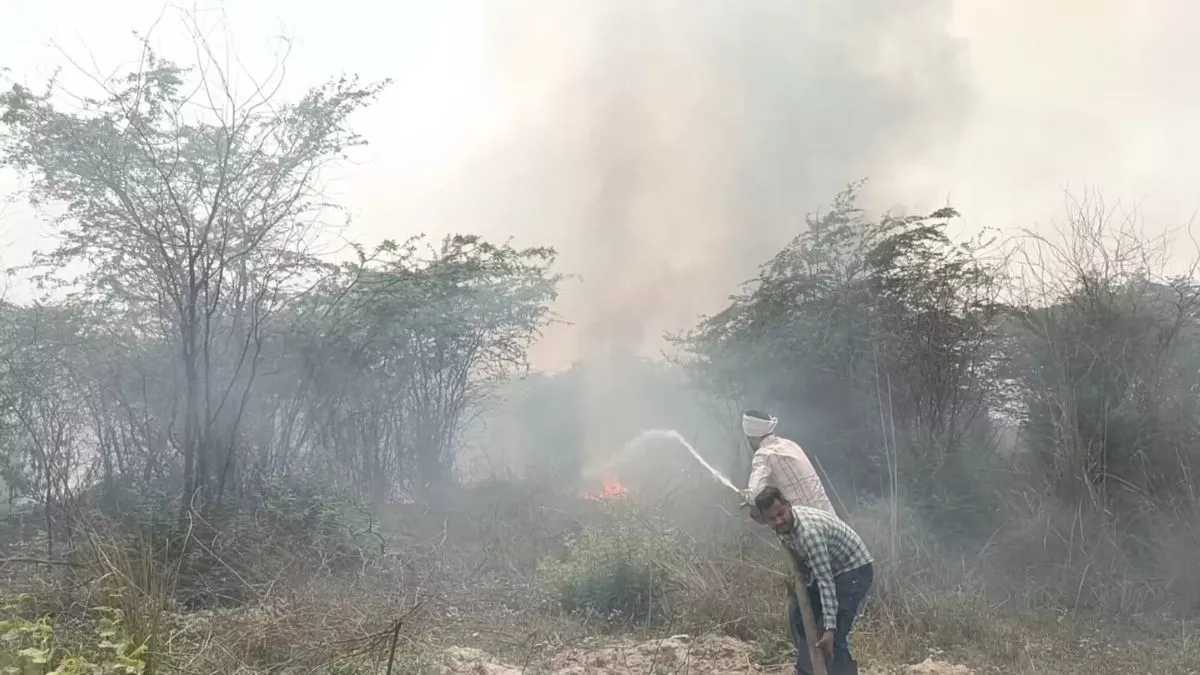 Wildfire in Faridkot: फरीदकोट के जंगल में लगी भीषण आग, 2 घंटे की मशक्कत के बाद पाया गया काबू