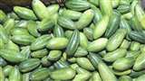 Parwal Benefits: गर्मियों में परवल के सेवन से मिलते हैं ये शानदार फायदे