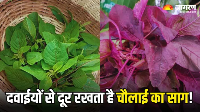 चौलाई के साग में है सेहत का खजाना, जानिए इसे खाने के 5 लाजवाब फायदे
