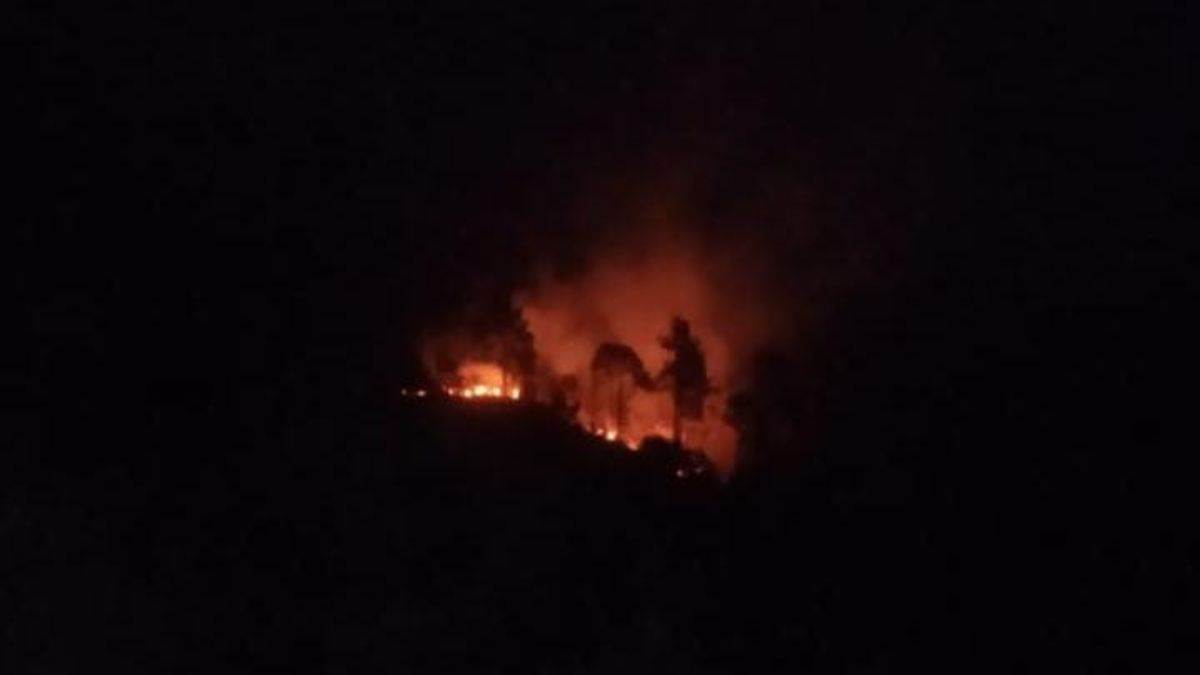 https://www.jagranimages.com/images/newimg/26042024/26_04_2024-fire_in_almora_forest_23705402.jpg