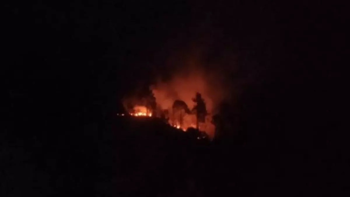 Fire in Almora Forest: तीन दिन से धधक रहे चल्थी और बाराकूना के जंगल, बढ़ी विभाग की परेशानी