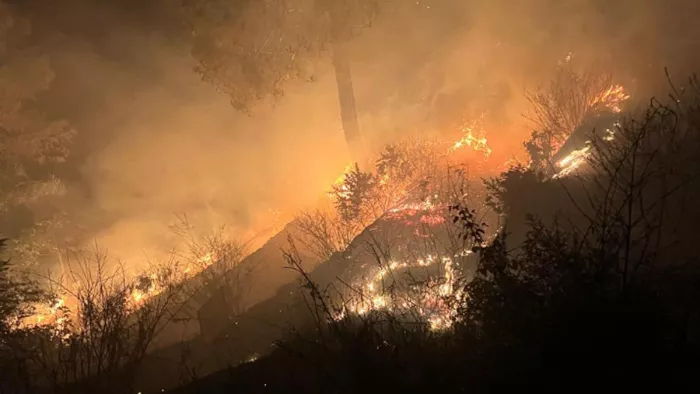Forest Fire: उत्‍तराखंड के जंगलों में बेकाबू हुई आग, एक दिन में 54 घटनाएं; दो झुलसे
